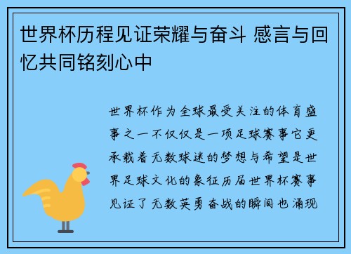 世界杯历程见证荣耀与奋斗 感言与回忆共同铭刻心中